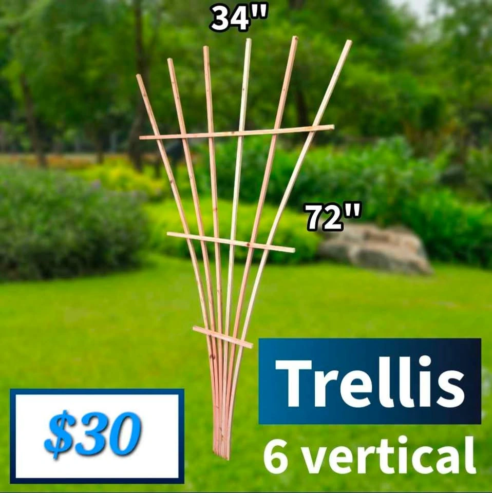 Handcrafted Cedar Garden Trellis - photo 2