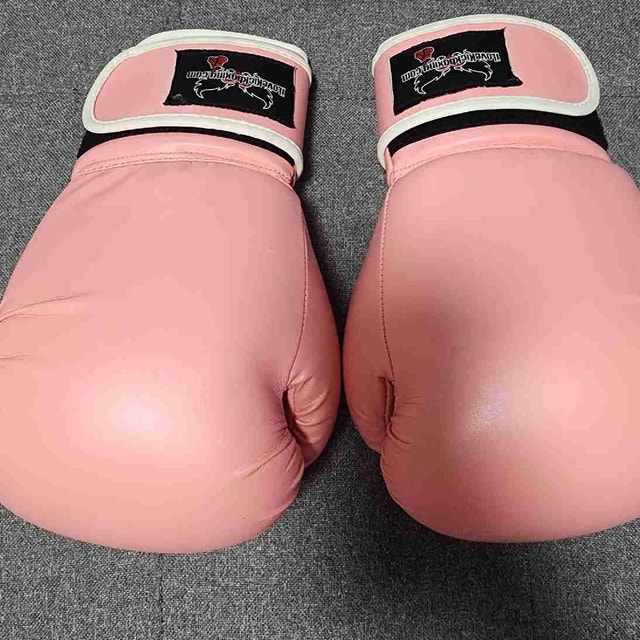 Love Kickboxing Gloves