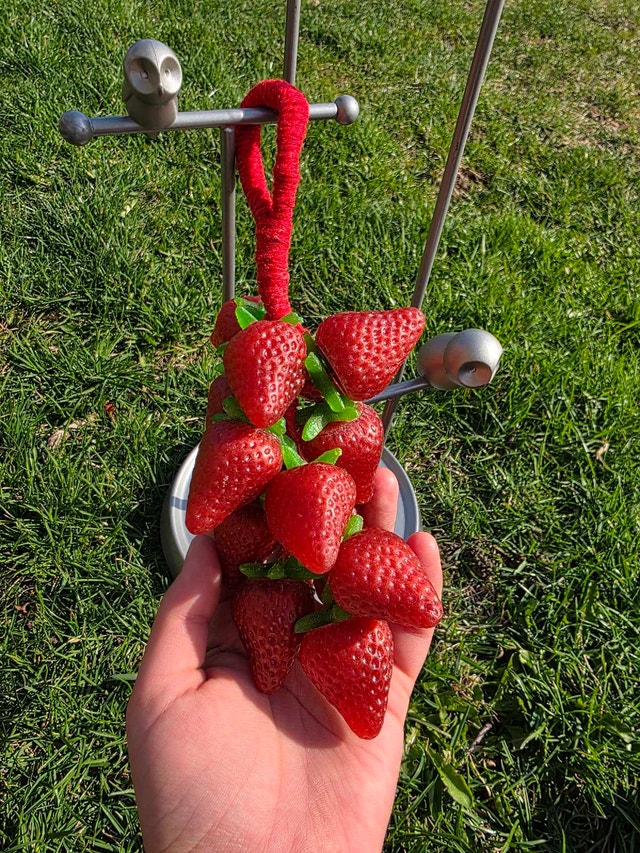 Strawberry soap on a rope