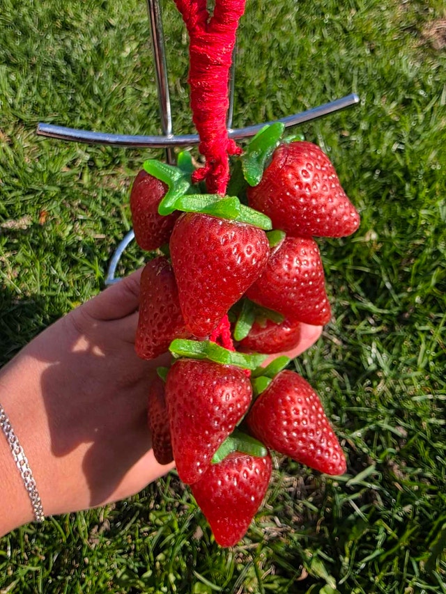 Strawberry soap on a rope - photo 3