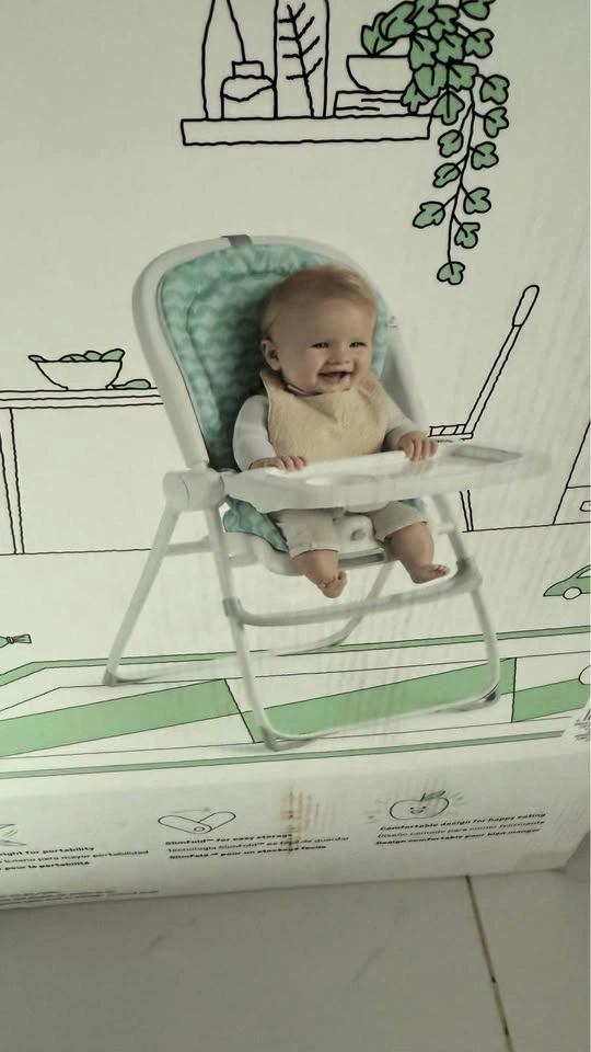 Ingenuity Baby High Chair - photo 4