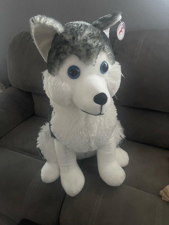 Caravan Softoys Husky 30 inch tall !! - photo 4