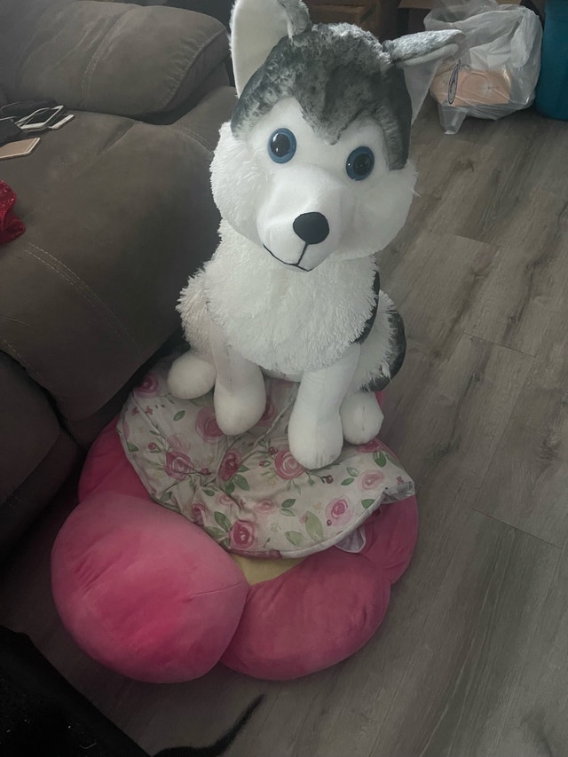 Caravan Softoys Husky 30 inch tall !! - photo 5