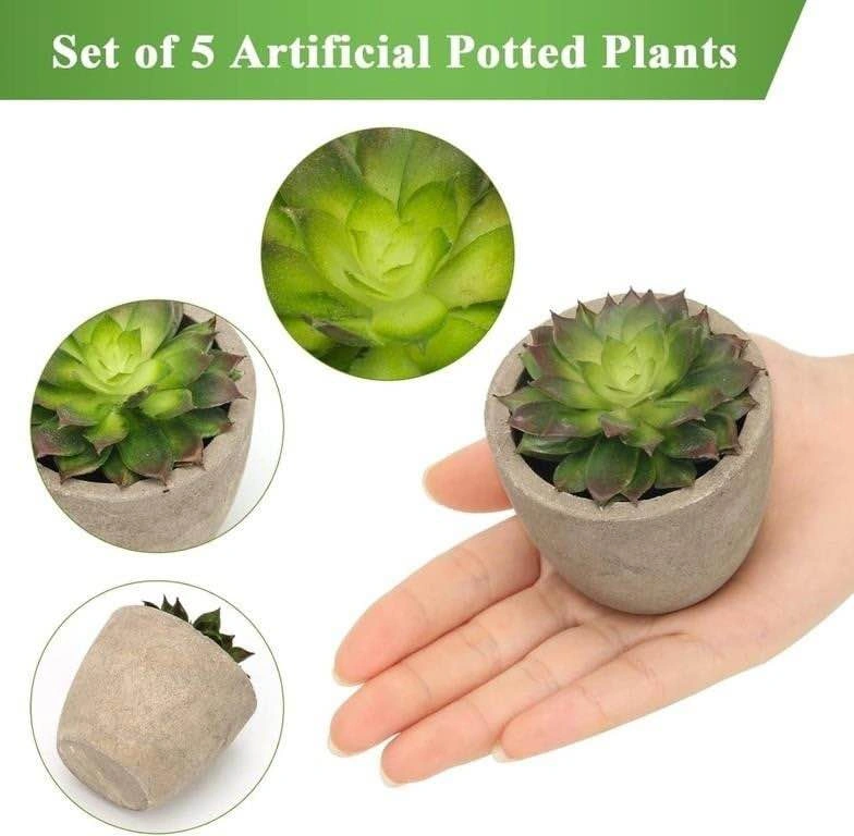 Artificial plants - photo 3