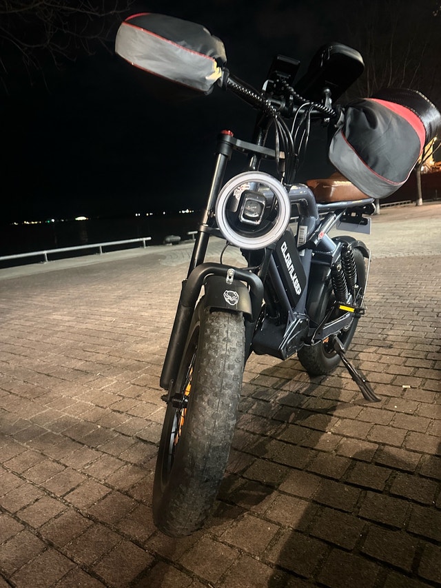 GlobalKeep Electric Bike