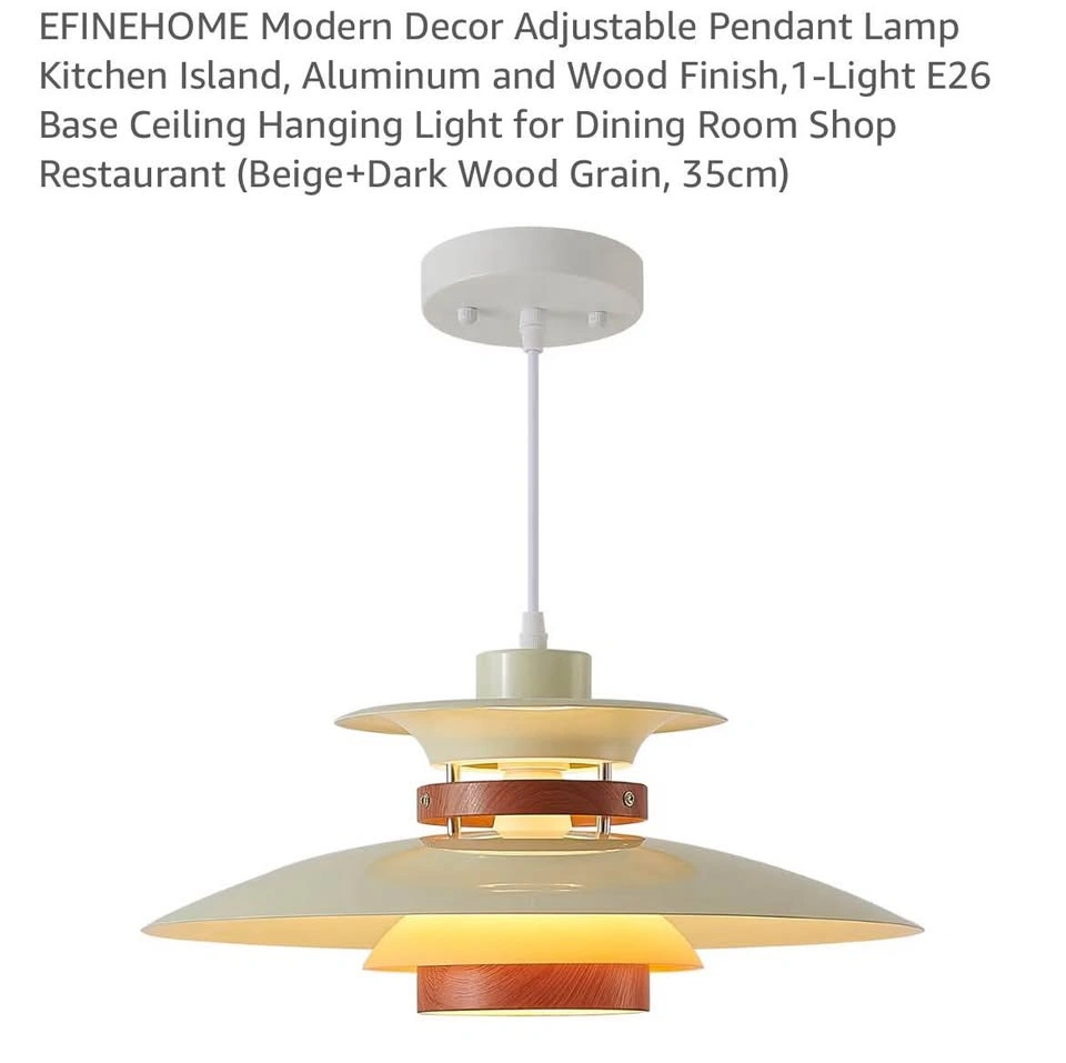 1-LIGHT PENDANT LAMP - photo 2