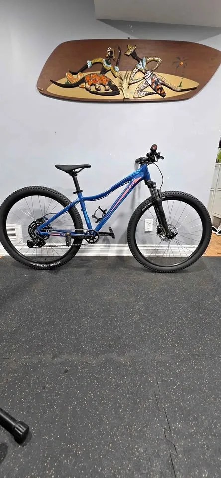 Giant Liv New Aluminum XS Frame Custom Build