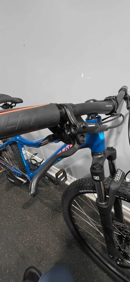 Giant Liv New Aluminum XS Frame Custom Build - photo 4