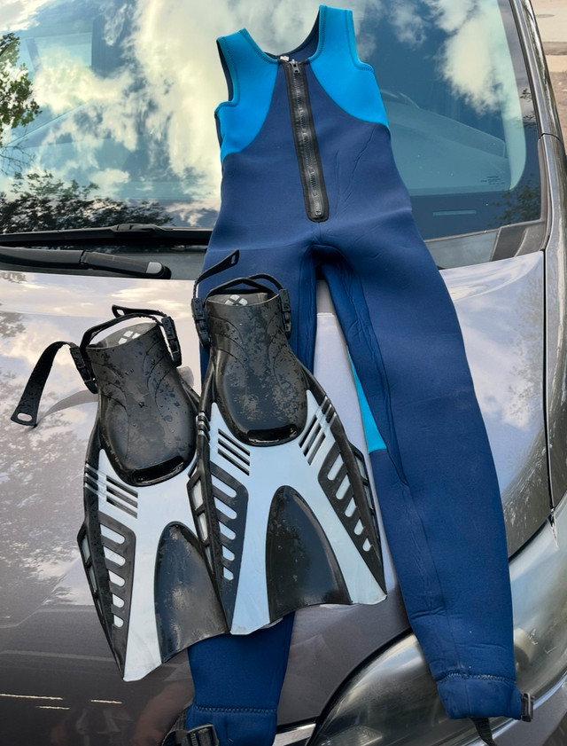 Wetsuit and Fins