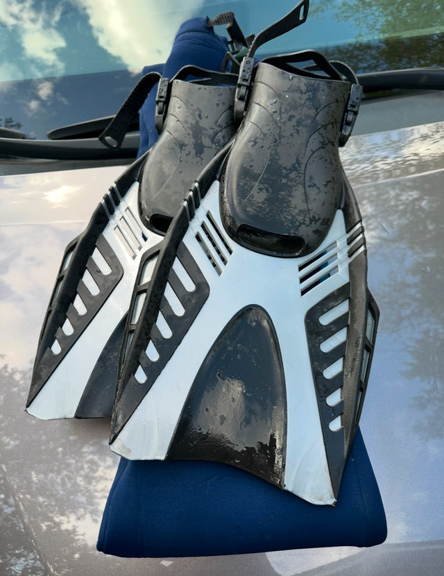 Wetsuit and Fins - photo 5