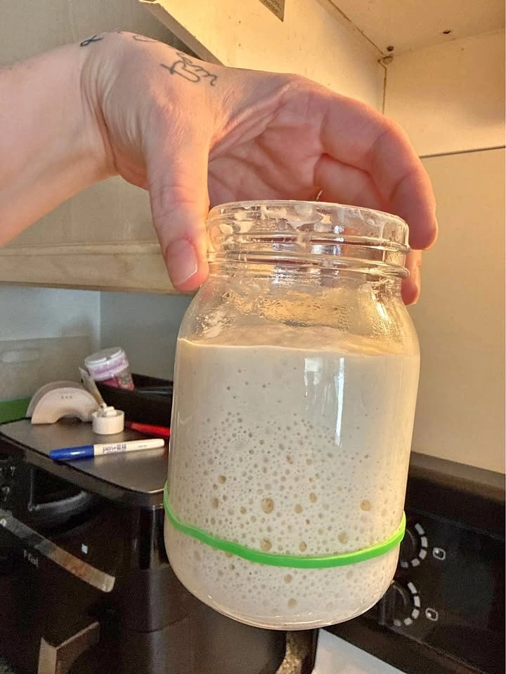 Active Sourdough Starter – “Beatrice”