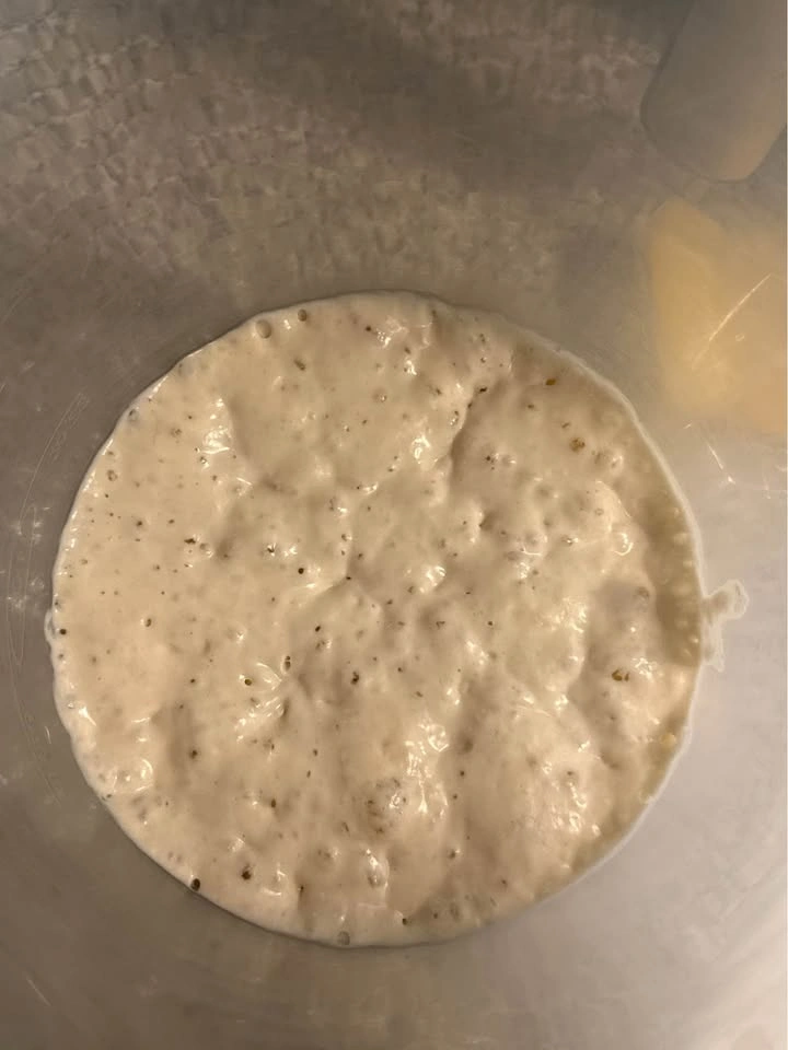 Active Sourdough Starter – “Beatrice” - photo 2