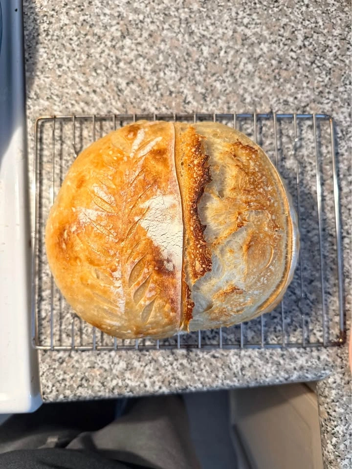 Active Sourdough Starter – “Beatrice” - photo 4