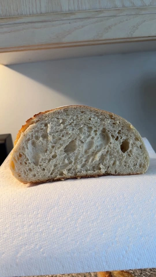 Active Sourdough Starter – “Beatrice” - photo 5
