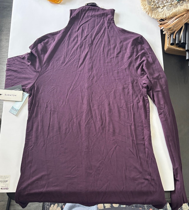 Babaton Turtleneck