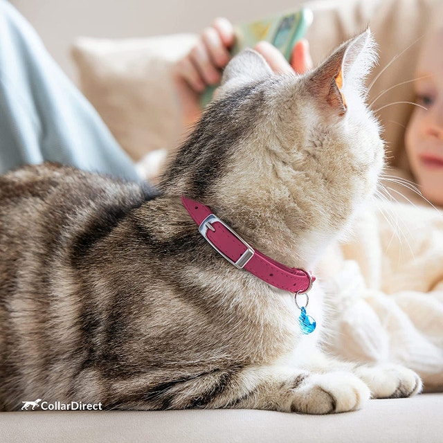 NEW 9.5" CollarDirect Pink Leather Cat/Kitten Safety Collar