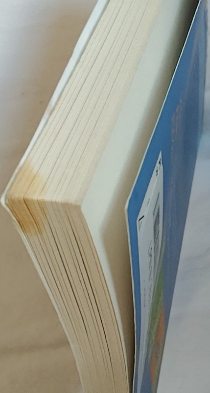 Judy Blume Tales of a Forth Grade Nothing Special Edition Book - photo 3