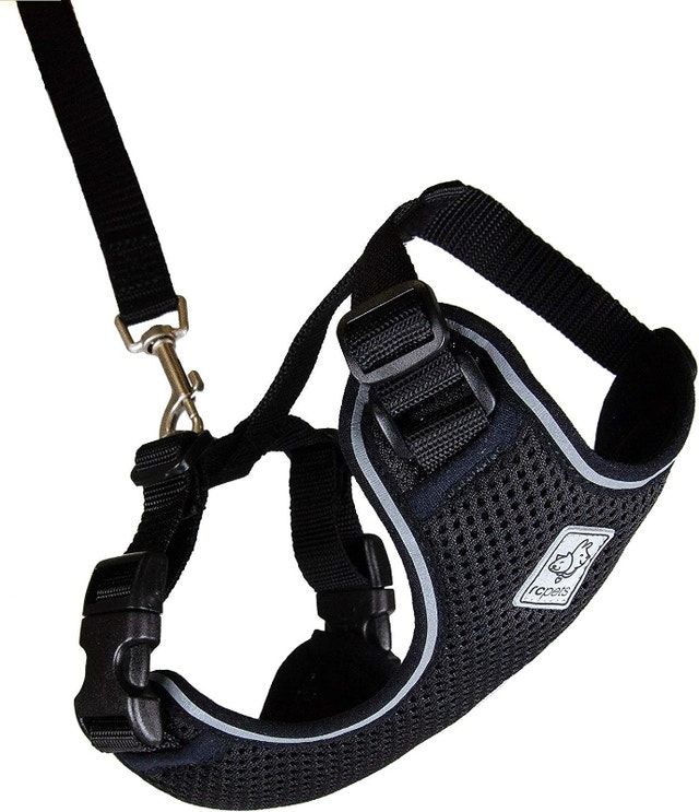 RC Pet Products Adventure Kitty Harness