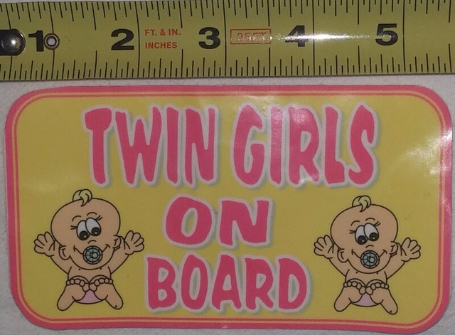 Pink Twins Girls on Board Decal - NEW
