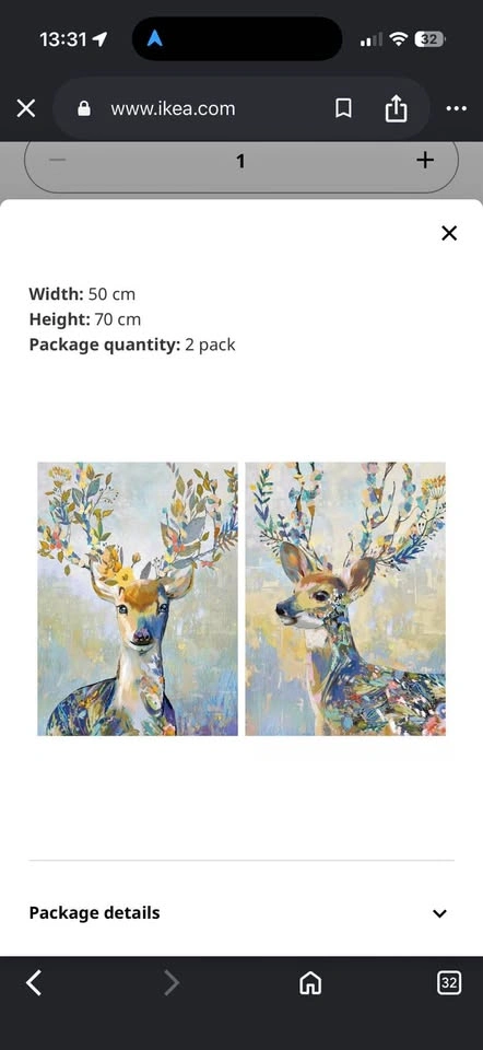 Deer Canvas Prints 2-pack