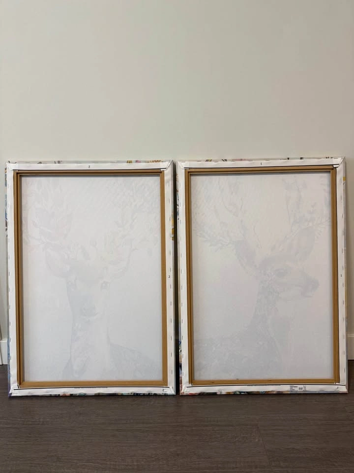 Deer Canvas Prints 2-pack - photo 3