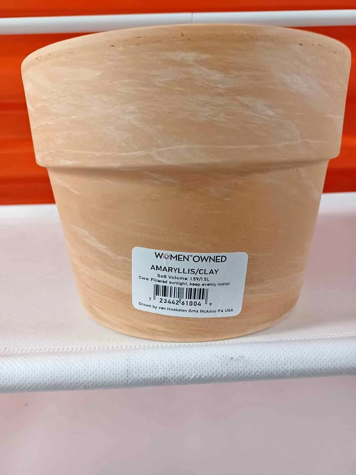 Clay Plant Pot 5.5in Tall 6.5in Diameter