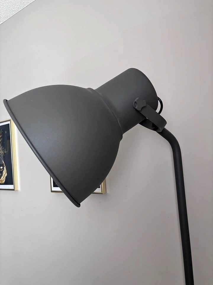 Standing Lamp