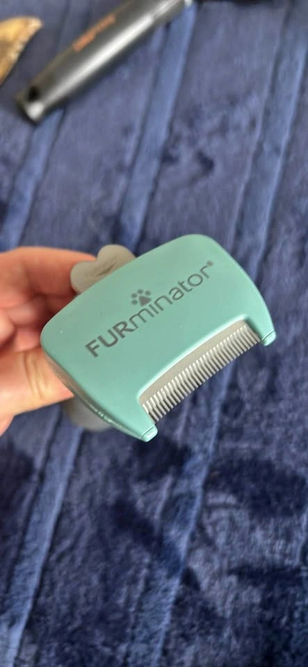 Small animal furminator