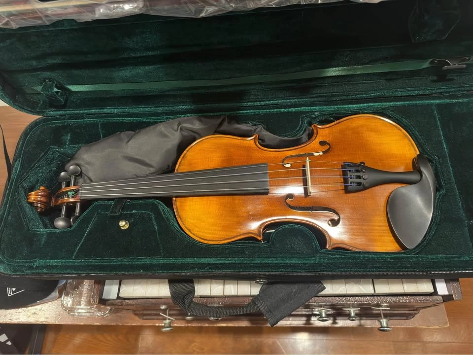 Urgent Sale Cremona SV500 4/4 Violin - photo 4