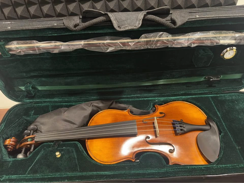 Urgent Sale Cremona SV500 4/4 Violin - photo 5