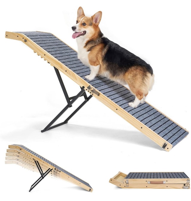 Dog Ramp collapsible - $100 OBO - photo 2