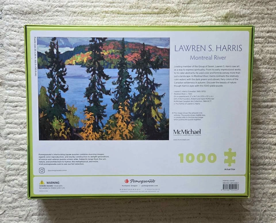 1000 Piece Puzzle - missing 3 pieces - photo 2