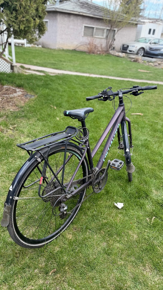 2019 Specialized Sirrus Step-Through - Small - photo 2