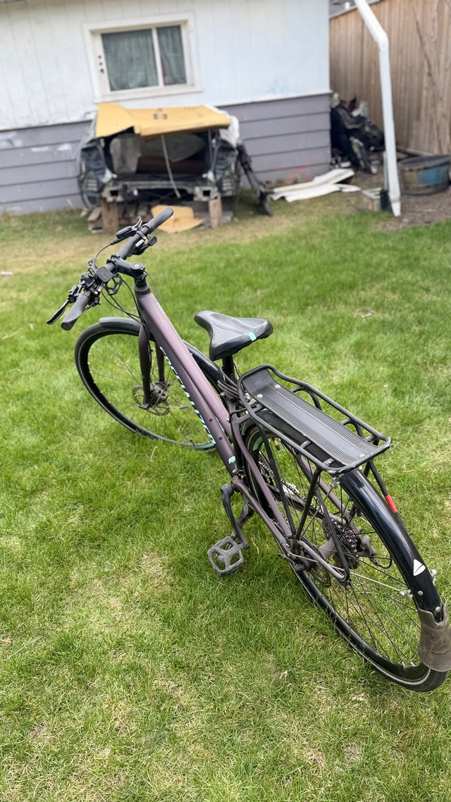 2019 Specialized Sirrus Step-Through - Small - photo 3