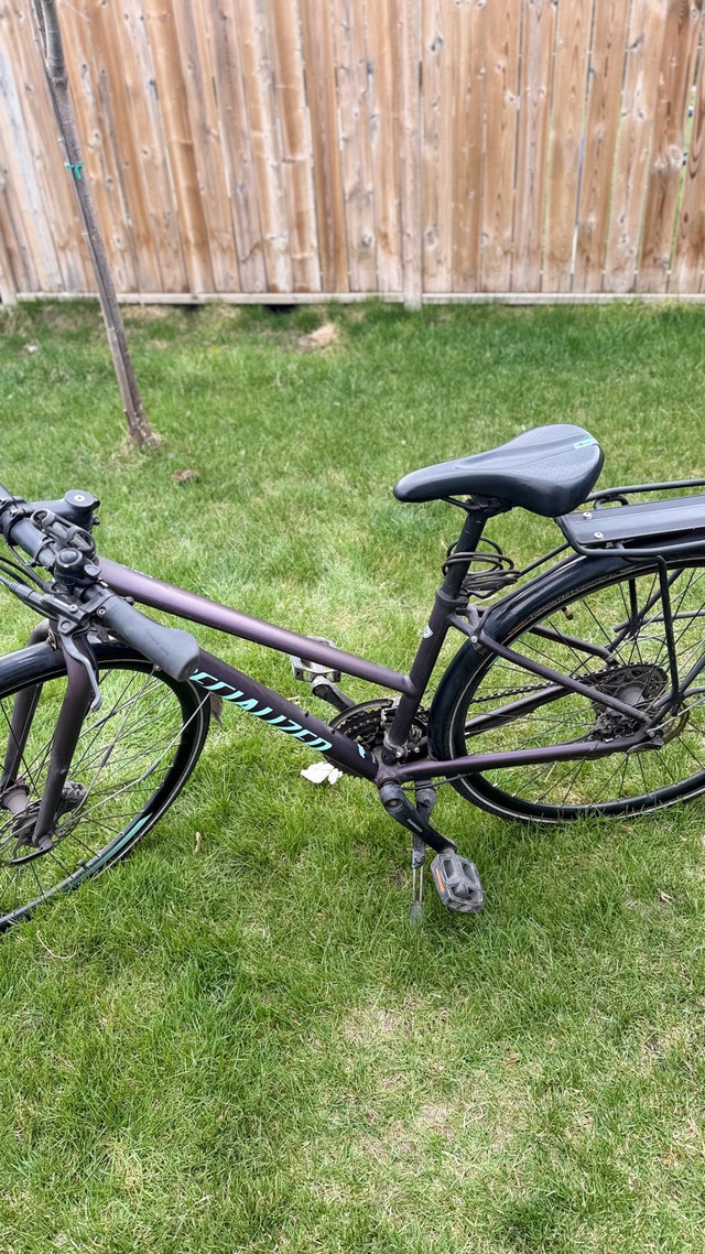 2019 Specialized Sirrus Step-Through - Small - photo 4