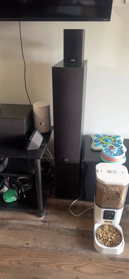 PSB Floor Speakers - photo 3