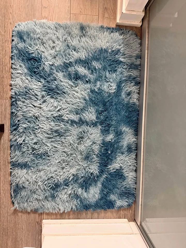 Blue Shag Rug
