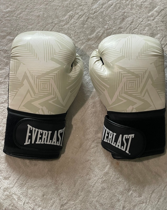Everlast Boxing Gloves