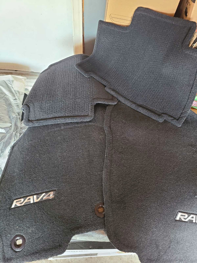 RAV 4 Floor Mats OEM