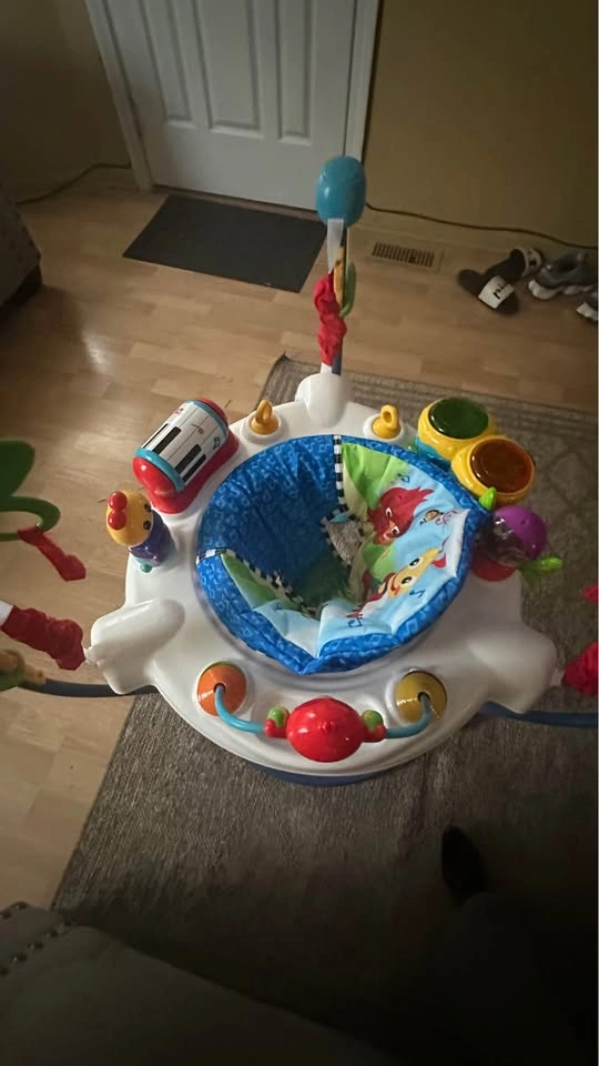 Baby Einstein Jumper - photo 3
