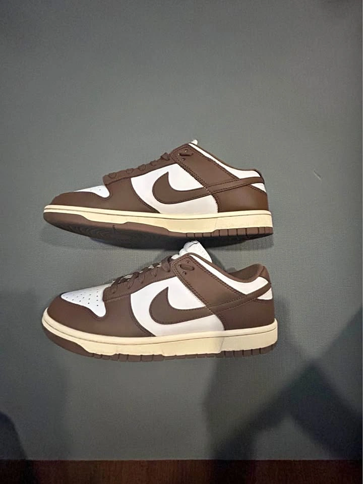 BROWN NIKE DUNKS