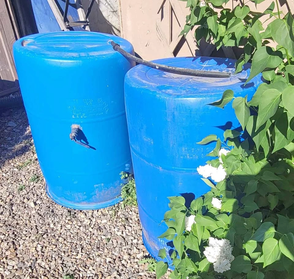 Rain Barrels (1 left)