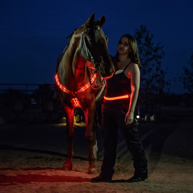 LED Horse Tack/  Breastplate