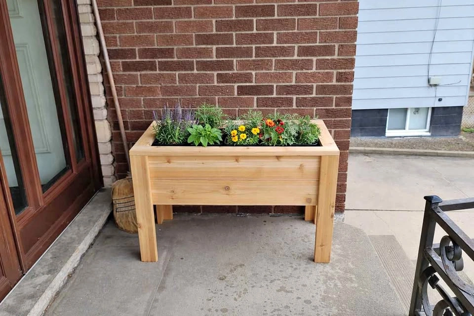 Cedar Raised Planters