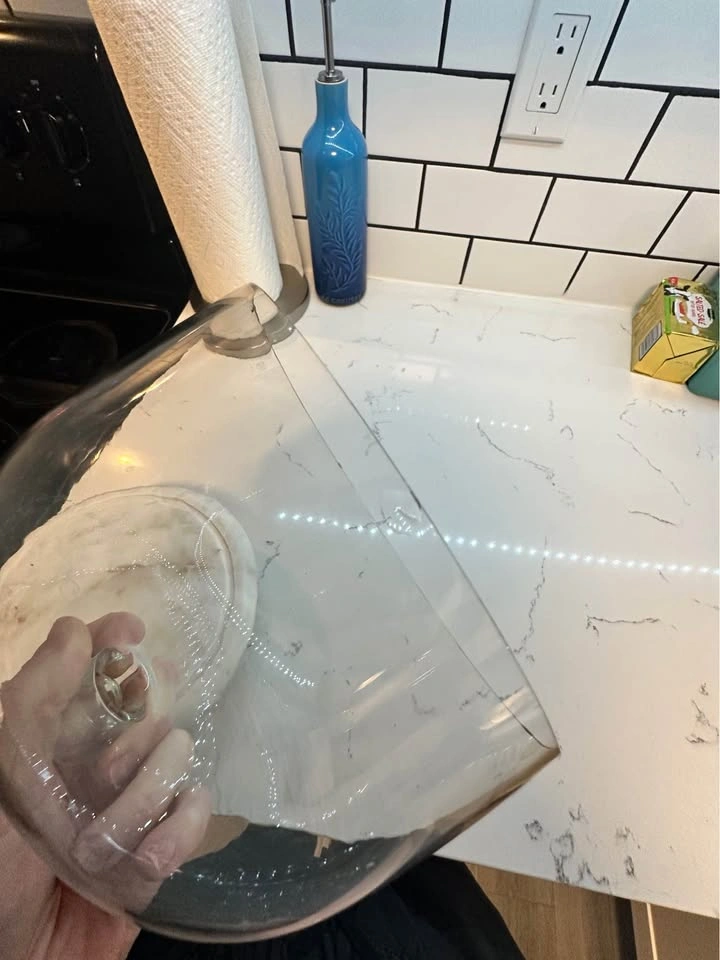 Marble Base Glass Cloche - photo 2