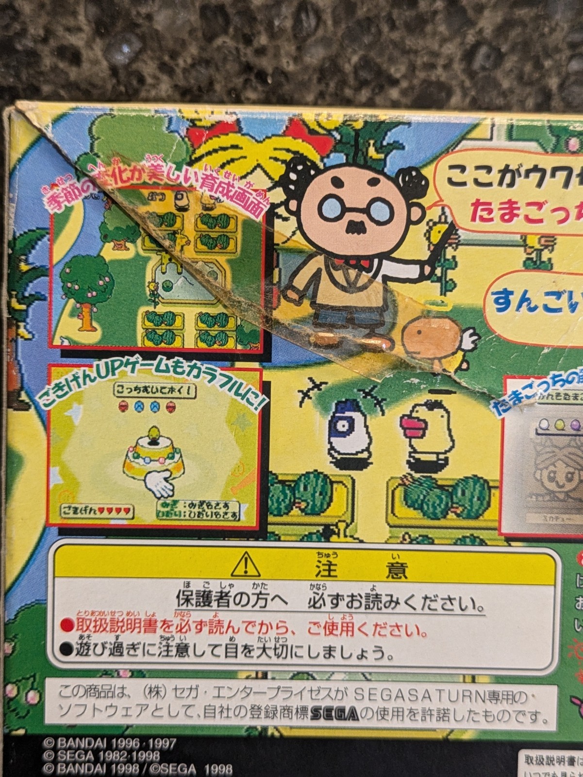 Sega Saturn De Hakken Tamagocchi Park Tamagotchi Import Jap Orig - photo 3