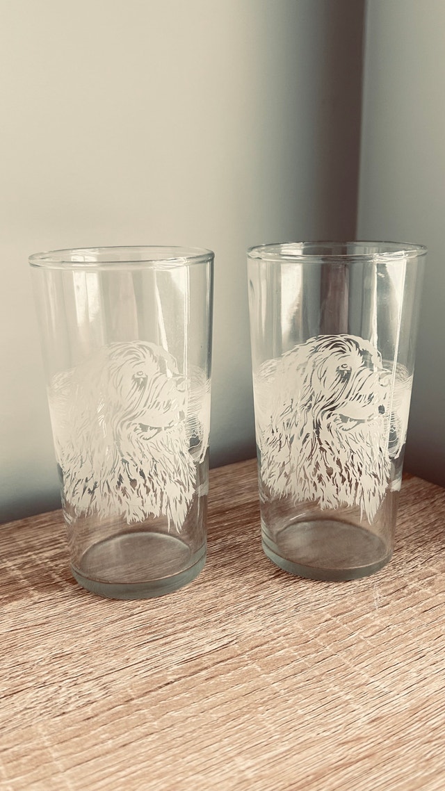 Set of 2 Newfoundland Dog Glasses – Irving Oil Limited
