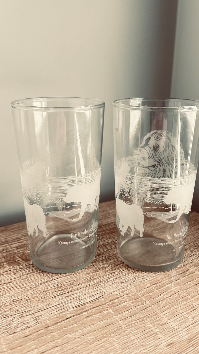 Set of 2 Newfoundland Dog Glasses – Irving Oil Limited - photo 3