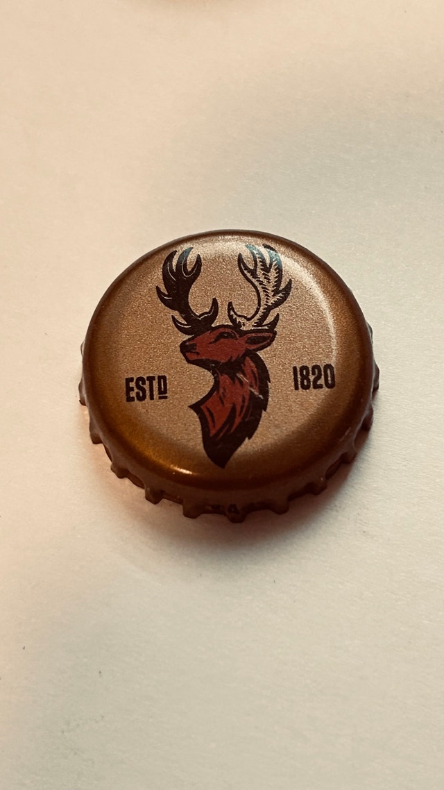 575 Beer Bottle Caps - Crafts, Epoxy Tables, Garage Decor - photo 2