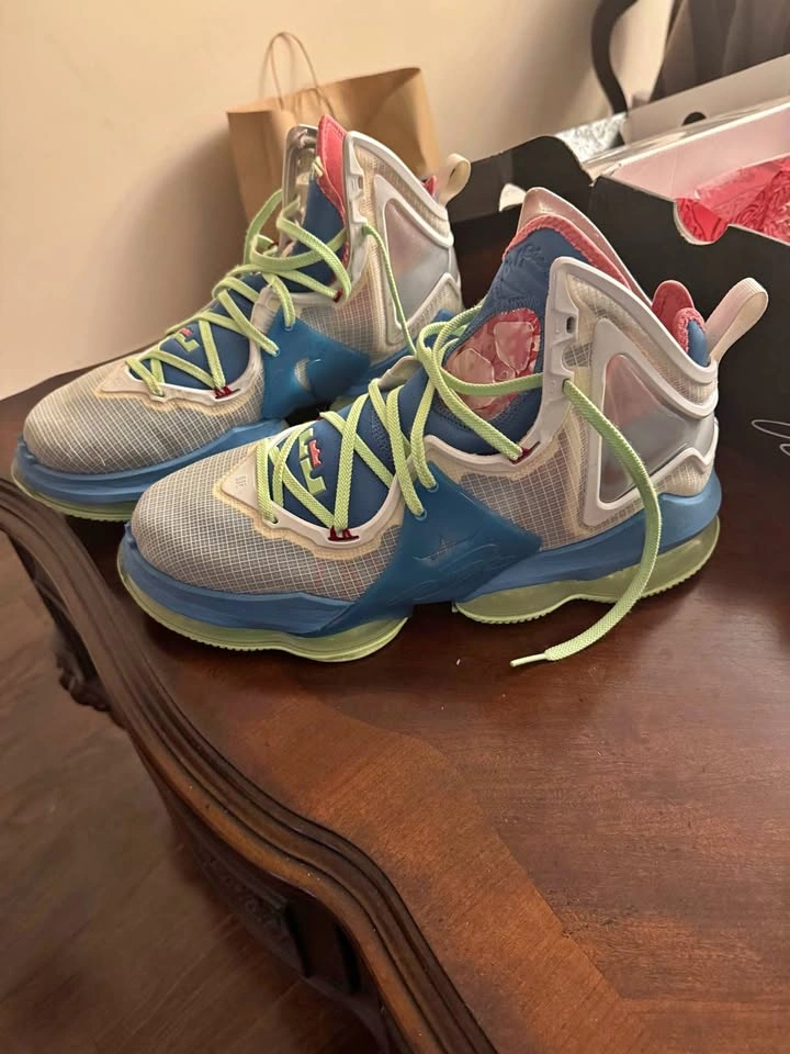 Lebron 19s Dutch Blue